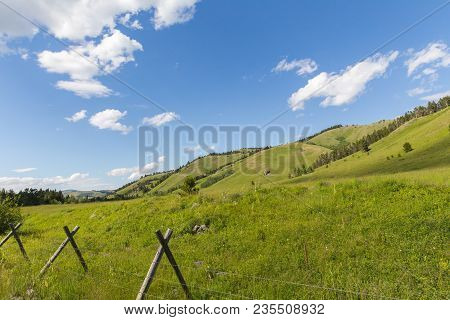 Barbed Wire Fence With Wood Posts In Lush, Green Landscape In Remote Area Of Highwood, Montana, Usa.
