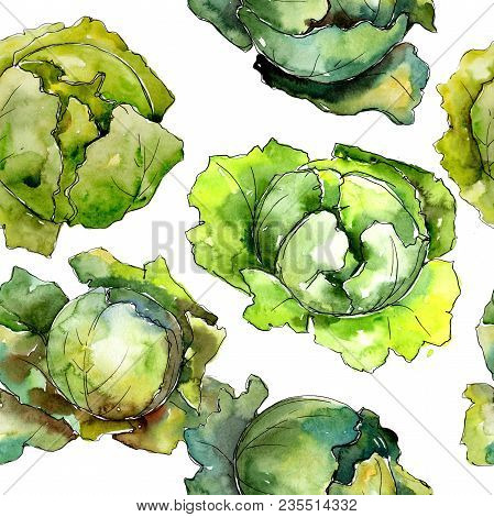 Green Cabbage Vegetables  In A Watercolor Style Pattern. Full Name Of The Vegetablles: Cabbage. Aqua