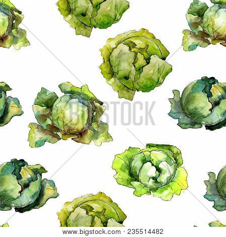 Green Cabbage Vegetables  In A Watercolor Style Pattern. Full Name Of The Vegetablles: Cabbage. Aqua