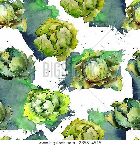 Green Cabbage Vegetables  In A Watercolor Style Pattern. Full Name Of The Vegetablles: Cabbage. Aqua