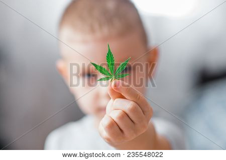 Smiling Kid Child Holding A Hemp Leaf. Concepts Of Using Marihuna For Medicinal Purposes For Childre