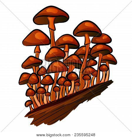 The Mushroom Honey Agaric Fungus Vector Illustration