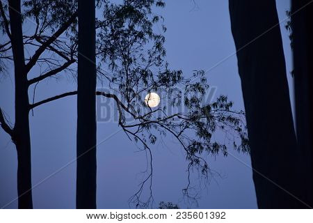 Full Moon Picture In Chahala Salt Lick Area Near Simlipal Forest