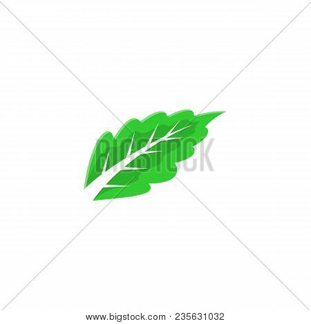 leaf logo, leaf vector Eps10, leaf Icon Vector, green leaf logo, leaf Icon Eps, leaf Icon Jpg, leaf Icon Picture, leaf Icon Flat, leaf Icon App, leaf Icon Web, leaf isolated white background