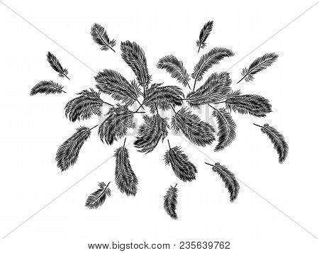 Colorful Feathers Embroidery Round Arrangement. Boho Tribal Clothes Indian Bird Classic Embroidered 