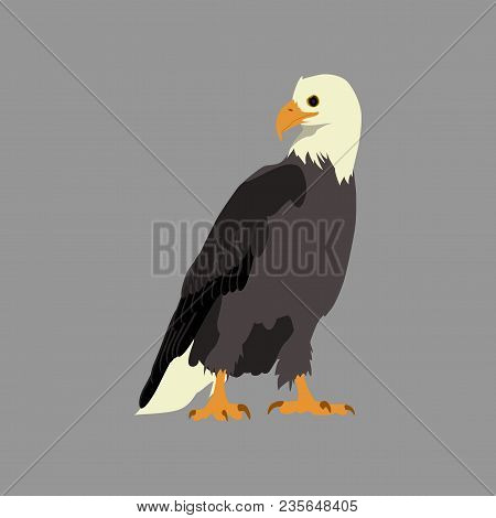 Flat Icons On Theme Of Andorra Eagle