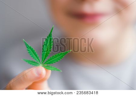 Smiling Kid Child Holding A Hemp Leaf. Concepts Of Using Marihuna For Medicinal Purposes For Childre