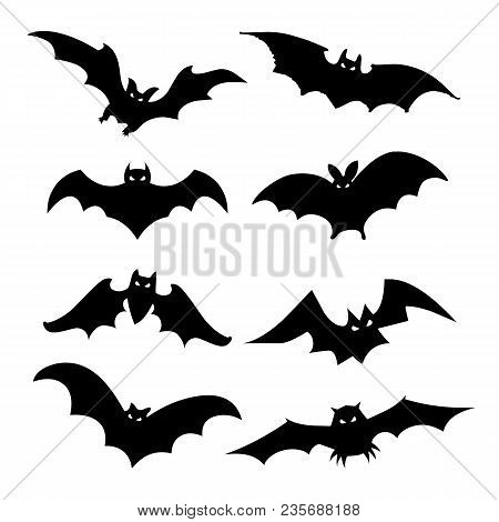 Bat Bird Animal Silhouette Black Icon Flat Design Element Vector Illustration