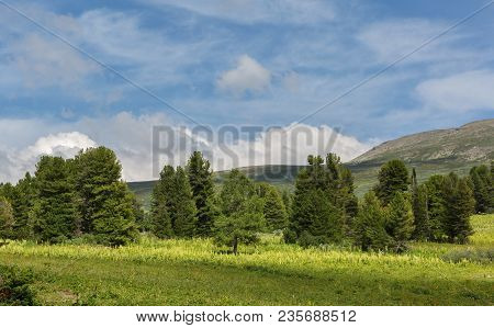 Beautiful Summer Landscape On Top Of The Altai Krai Mountains.