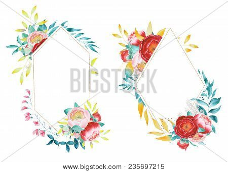 Aquarelle Wild Flower For Background, Texture, Wrapper Pattern, Frame Or Border. Wildflower Peony Fl