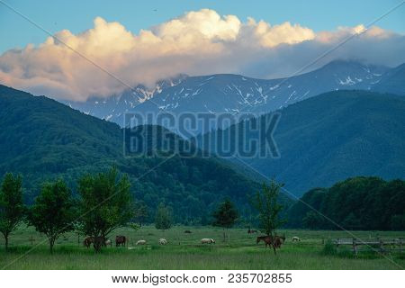 A Picturesque View To A Mountain Area With Some Greeness And Animals.