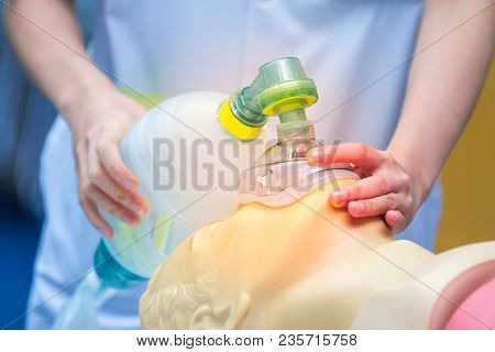 Medical Students Are Learning How To Rescue The Patients In Emergency. Cpr Training With Cpr Doll An