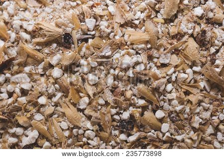 Grinded Grains Of Barley Malt Close-up. Craft Beer Brewing From Grain Barley Pale Malt In Process. A