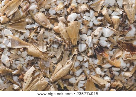 Grinded Grains Of Barley Malt Close-up. Craft Beer Brewing From Grain Barley Pale Malt In Process. A