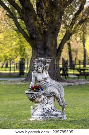 Brody, Poland - April 17, 2017: A Stone Sculpture Of A Woman On The Background Of A Old Tree At The 