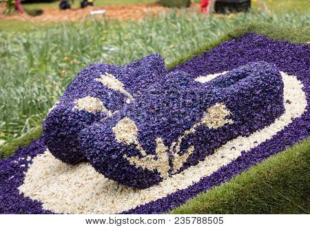 Noordwijkerhout, Netherlands - April 23,  2017: Traditional Clogs Made Of Hyacinths At The Tradition