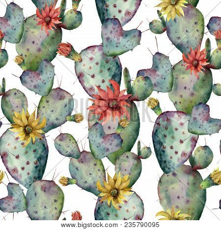 Watercolor Cactuses, Yellow And Red Flowers Seamless Patttern. Hand Painted Opuntia Isolated On Whit