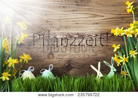 Wooden Background With German Text Pflanzzeit Means Planting Season. Easter Decoration Like Easter E