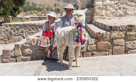Arequipa, Peru - September 2017: Peruvian Woman With Lama And Alpaca.