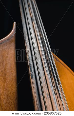 Close-up Shot Of Contrabass Viol Isolated On Black