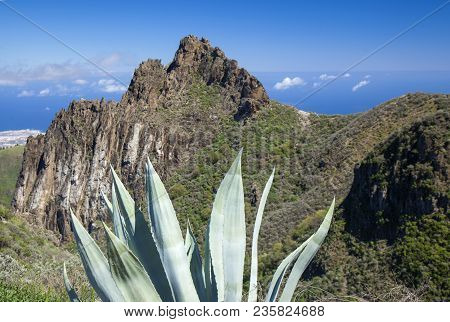 Gran Canaria, March, View From A Hiking Path In Valsequillo Municipality Towards Rock Formation Roqu