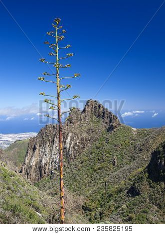 Gran Canaria, March, View From A Hiking Path In Valsequillo Municipality Towards Rock Formation Roqu