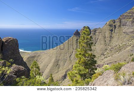 Gran Canaria, March - View From A Hiking Path In Tamadaba Nature Reserve Towards Faneque, The Talles