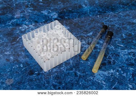 Plate With Biological Test Tubes. Museum Of Strains Of Bacteria. Samples For Study. Box For Eppendor