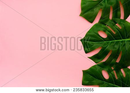 Tropical Palm Leaves On A Light Pink Background. Side Border. Minimal Nature. Flat Lay. Top View.