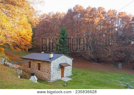 Autumn Mountain Landscape. Grappa Mountain, Italian Alps