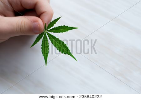 Smiling Kid Child Holding A Hemp Leaf. Concepts Of Using Marihuna For Medicinal Purposes For Childre
