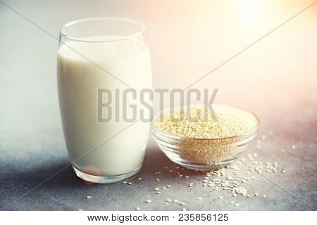 Sesame Seed Milk In Glass And Sesame Seeds On Grey Concrete Background With Copy Space. Raw Food Die