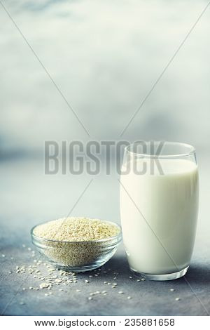 Sesame Seed Milk In Glass And Sesame Seeds On Grey Concrete Background With Copy Space. Raw Food Die