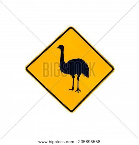 Australian Wildlife Warning Road Sign For Ostrichs And Emus On The Road And Highways Of Australia. I