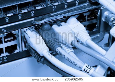 ethernet cables maze connected to switch