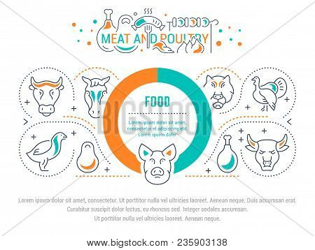 Line Illustration Of Meat And Poultry. Concept For Web Banners And Printed Materials. Template For W