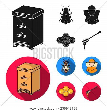 The Bee, The Bee-keeper In The Mask, The Honeycomb Of The Honey.apiary Set Collection Icons In Black