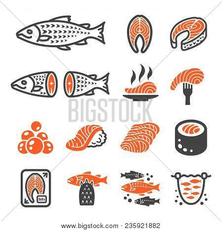 Salmon Fish Icon Set Vector And Illustration
