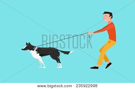 Vector Illustration: Young Man Walk The Dog - And White Border Collie. The Dog Pulls On A Leash. Fla