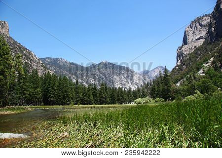 Serene View Of Zumwalt Meadow In Kings Canyon National Park California