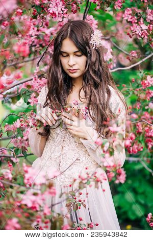 Beautiful Girl With Long Hair, Decoration In Beige Boudoir Lace Dress Near Pink Sakura, Looking Down
