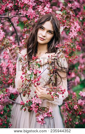 Beautiful Girl In A Dress Stands Near The Tree Blossoms With Pink Flowers, Holding By The Hand A Spr