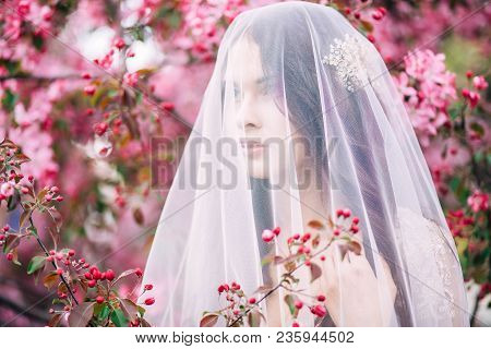 Beautiful Girl Bride In A Lace Dress, Brunette With Long Hair, Under The Veil Near The Sakura Viewin