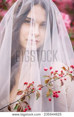 Portrait Of A Bride Under A Veil, Beautiful Brunette Girl, Close-up, Pink Flowers, Sakura,