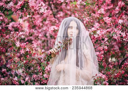 Very Beautiful Girl The Bride Under A Veil, Beige Wedding Dress Near The Tree Sakura