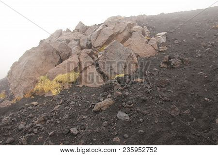 Moss On The Etna Volcano. The Etna Volcano Crater. Black Volcanic Earth, Volcanic Lava And Stones.  