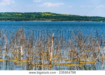 Beautiful Landscape With Several Dry Trees Growing In Lake