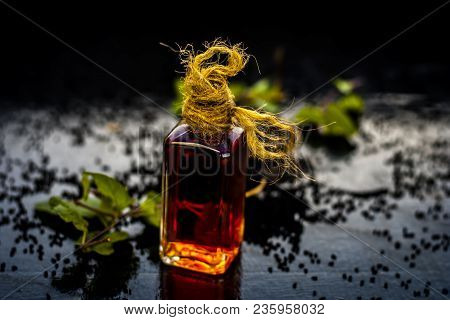 Close Up Of Kalonji, Roman Coriander, Mint Leaves, And Powder Of Kalonji With Its Extracted Oil For