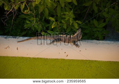 Campeche, Mexico: Top View Of The House Of Deceit, Where The Walls Are, And The House Is Not. Coloni