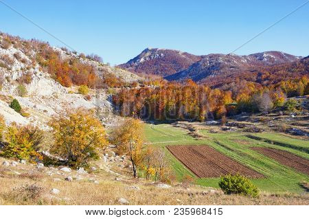 Beautiful Autumn Landscape With Small Fields In The Valley Of The Dinaric Alps.  Montenegro, Lovcen 